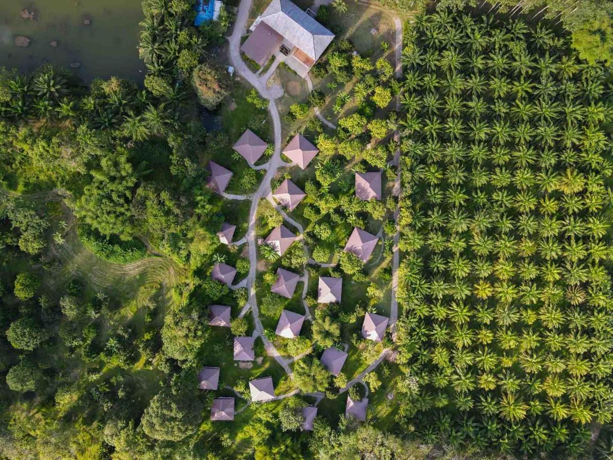 Monkey Mansion - Jungalows & Tours Khao Sok National Park Exterior foto